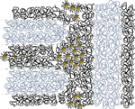 T-junction scheme